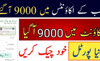 Ehsaas Program (BISP) Online Check by CNIC 2024