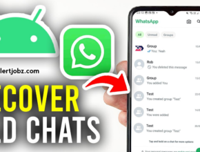 How to Check Your WhatsApp Chat History and Message Details (Complete Guide)