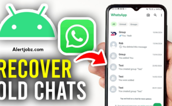 How to Check Your WhatsApp Chat History and Message Details (Complete Guide)