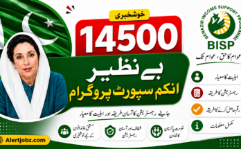 Benazir Income Support Programme (BISP) Online Check by CNIC – Complete Guide